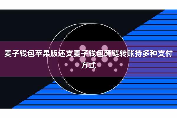 麦子钱包苹果版还支麦子钱包跨链转账持多种支付方式