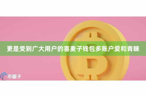 更是受到广大用户的喜麦子钱包多账户爱和青睐