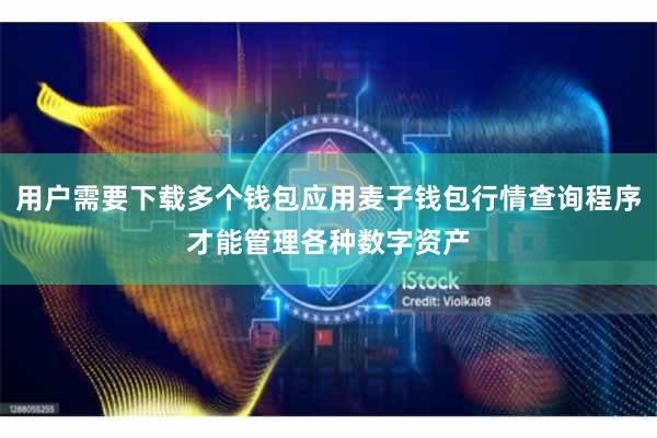 用户需要下载多个钱包应用麦子钱包行情查询程序才能管理各种数字资产