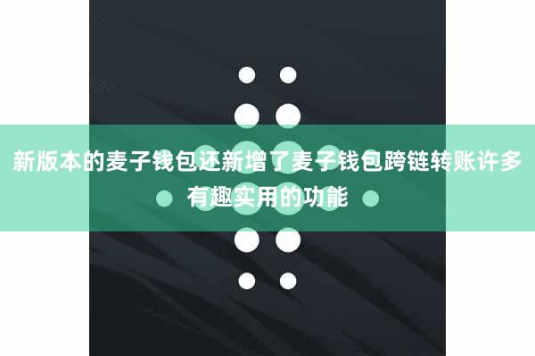 新版本的麦子钱包还新增了麦子钱包跨链转账许多有趣实用的功能