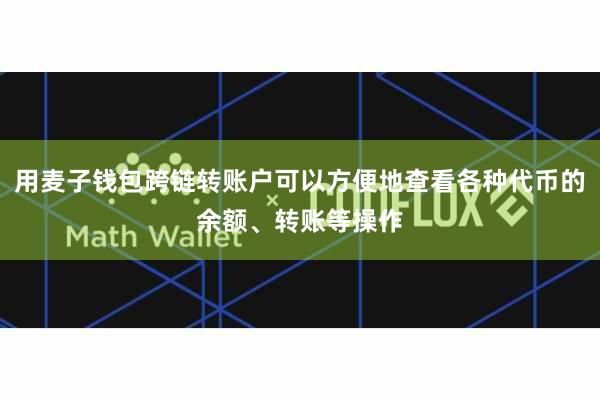 用麦子钱包跨链转账户可以方便地查看各种代币的余额、转账等操作