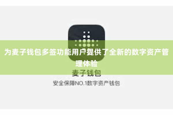 为麦子钱包多签功能用户提供了全新的数字资产管理体验