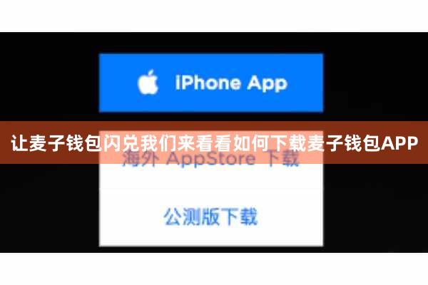 让麦子钱包闪兑我们来看看如何下载麦子钱包APP