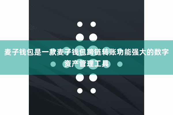 麦子钱包是一款麦子钱包跨链转账功能强大的数字资产管理工具