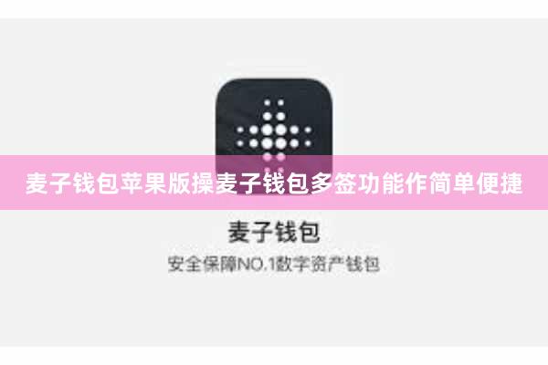 麦子钱包苹果版操麦子钱包多签功能作简单便捷