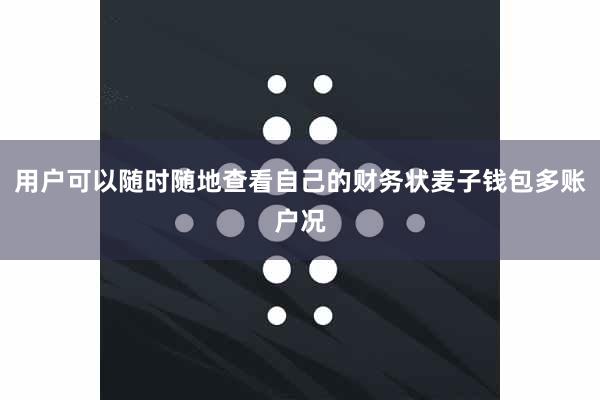 用户可以随时随地查看自己的财务状麦子钱包多账户况