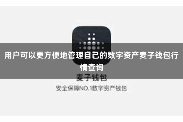 用户可以更方便地管理自己的数字资产麦子钱包行情查询