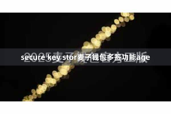 secure key stor麦子钱包多签功能age