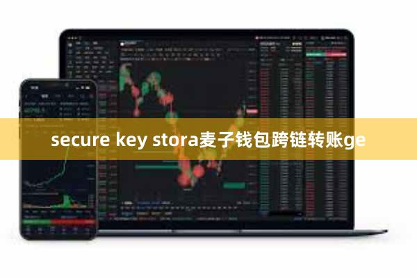 secure key stora麦子钱包跨链转账ge
