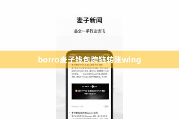 borro麦子钱包跨链转账wing