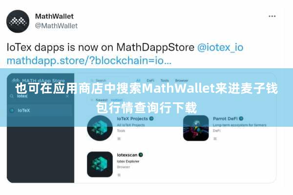 也可在应用商店中搜索MathWallet来进麦子钱包行情查询行下载