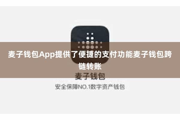 麦子钱包App提供了便捷的支付功能麦子钱包跨链转账
