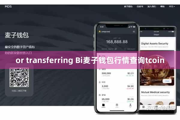 or transferring Bi麦子钱包行情查询tcoin