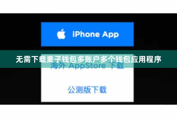 无需下载麦子钱包多账户多个钱包应用程序