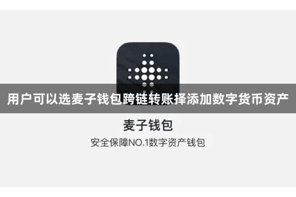 用户可以选麦子钱包跨链转账择添加数字货币资产