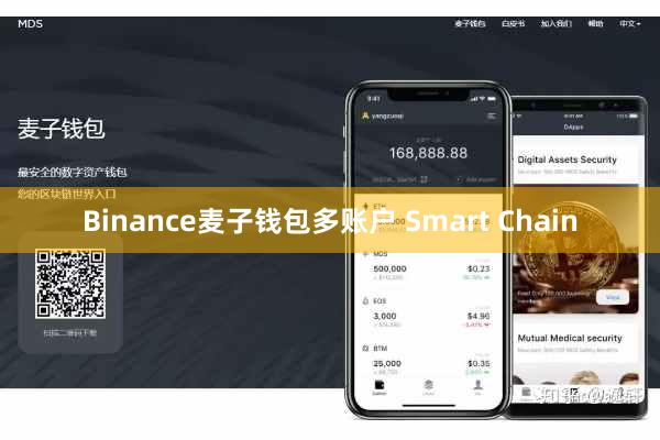 Binance麦子钱包多账户 Smart Chain