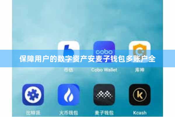 保障用户的数字资产安麦子钱包多账户全