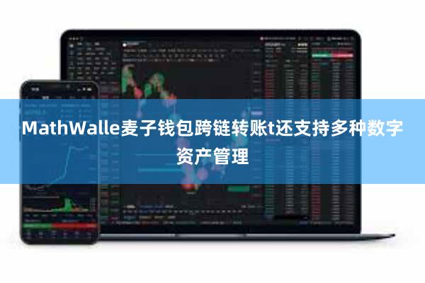 MathWalle麦子钱包跨链转账t还支持多种数字资产管理