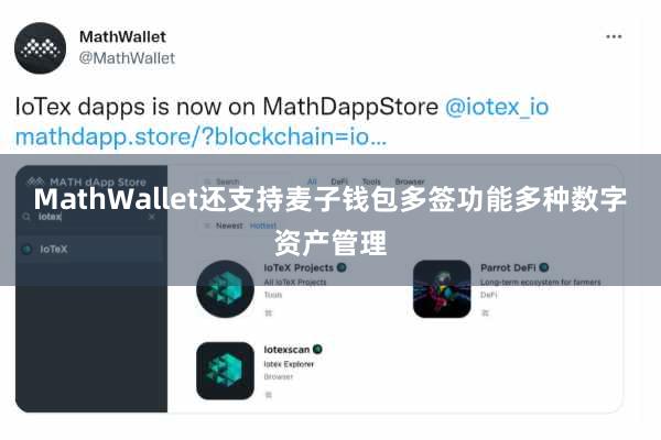 MathWallet还支持麦子钱包多签功能多种数字资产管理