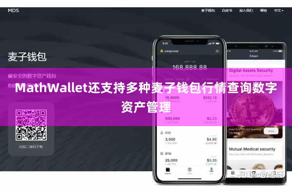MathWallet还支持多种麦子钱包行情查询数字资产管理